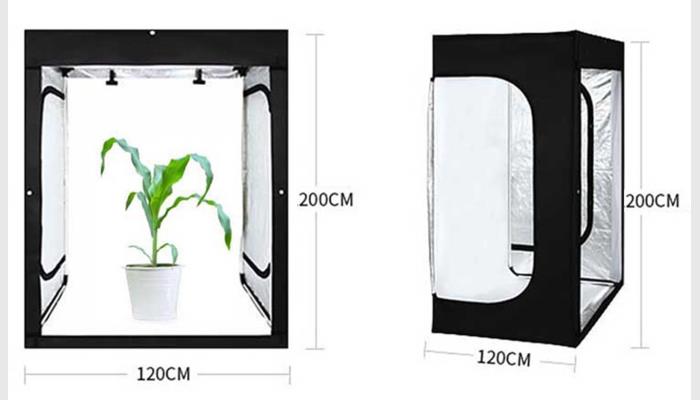 PhenoGA植物表型分析測(cè)量?jī)x系統(tǒng),又稱(chēng)植物表型平臺(tái), 植物表型分析系統(tǒng),植物表型成像分析系統(tǒng)。
基因型、表型和環(huán)境是遺傳學(xué)研究的鐵三角。表型（性狀）是基因型和環(huán)境共同作用結(jié)果，而基因型與表型之間有著多重關(guān)系。研究者用測(cè)序和基因組重測(cè)序來(lái)評(píng)估等位基因差異定位數(shù)量性狀等已變得很普遍，但其需大量性狀數(shù)據(jù)來(lái)佐證。然而這類(lèi)分析測(cè)量的結(jié)果受人員、工具和環(huán)境等的干擾很大，還會(huì)損傷到植物。故迫切需要高效、準(zhǔn)確的萬(wàn)深PhenoGA植物表型分析測(cè)量?jī)x來(lái)做可視化的精確數(shù)據(jù)分析和表型測(cè)試，如測(cè)試對(duì)壓力和環(huán)境因素的表型反應(yīng)、生態(tài)毒理學(xué)測(cè)試或萌發(fā)測(cè)定、生長(zhǎng)研究等。